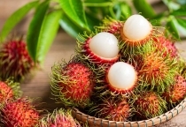 Top 4 các công ty cung cấp nông sản lớn tại Việt Nam